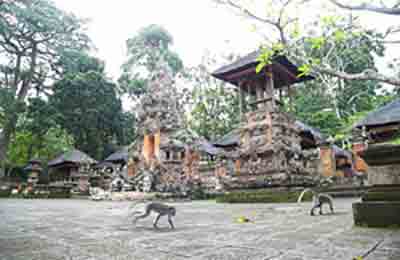 Templo de monos Ubud