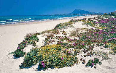 Playa de Denia